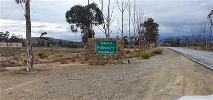 Willowmore Karoo Stand