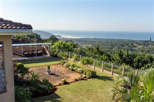 Living on top of the world.