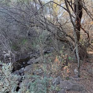 Unique Investment Opportunity in Rayton,
