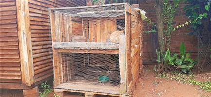 Large Double Rabbit Cage
