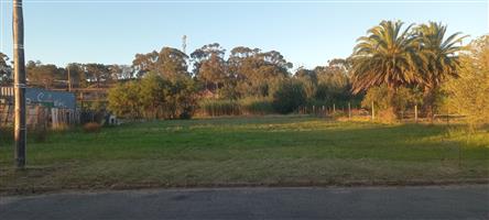 Large Vacant stand