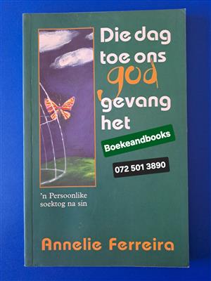 Die Dag Toe Ons God Gevang Het - Annelie Ferreira - N Persoonlike Soektog Na Sin