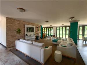 !Gorgeous!  !You can't take your eyes off!