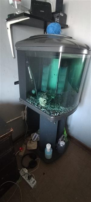 Fish tank