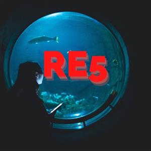 RE5 Exam support and preparation