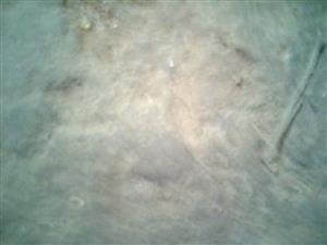 looking for motherboard to buy