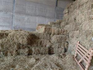 B Grade Lucern Bales