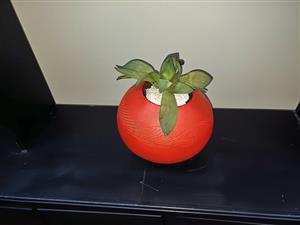 Orange décor pot 