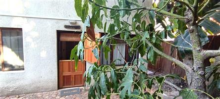 Garden Cottage Rental Monthly in Boston