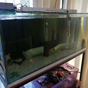 fish tank 4 foot