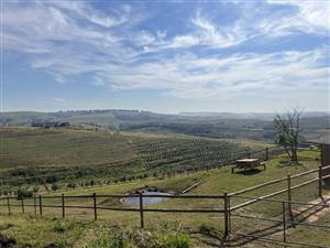 VIEWING WITH PLATFORM READY