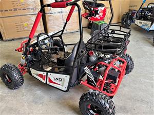 New tao moto 125cc 2 seater buggies for sale petrol with electric start