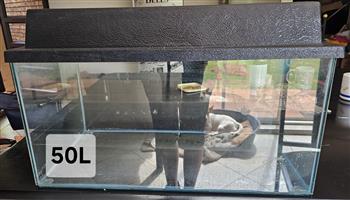 Fish tanks for sale x 3