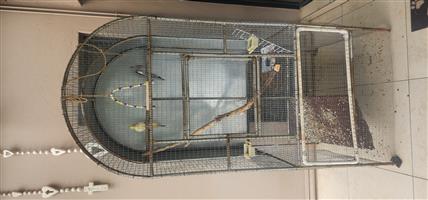 R1400 FOR BIRDS AND CAGE