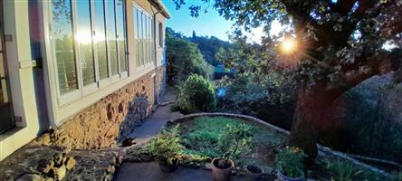 Massive Family  Hideout