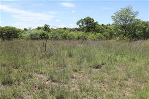 Vacant Land Residential For Sale in Koro Creek Golf Estate