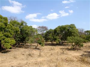 Vacant Land in MODITLO NATURE RESERVE