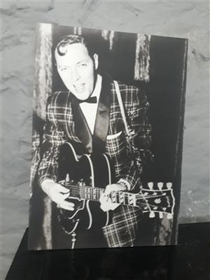 Canvasses of various performers or music stars from the 50's and 60's for sale.
