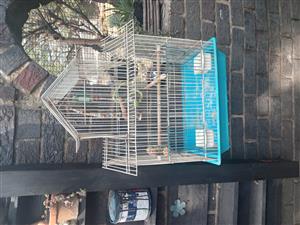 Bird cage