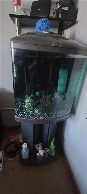 Bayou tank