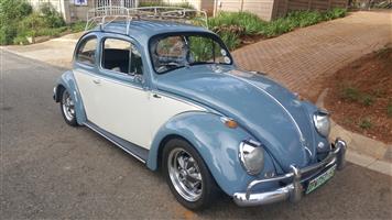1958 Vw Beetle 