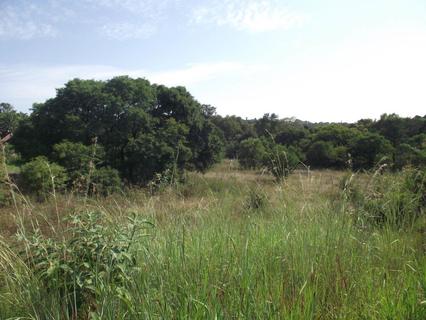 Vacant Land Agricultural For Sale in ERASMUSKLOOF EXT 3