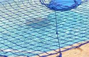 Pool safety nets