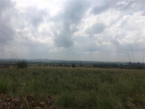 3.84 hectare smallholding in Van der Hoffpark