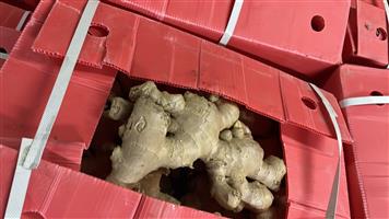 Bulk Ginger and garlic