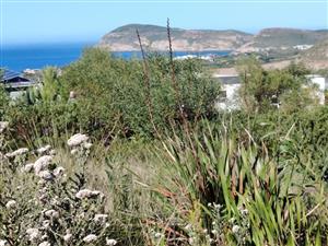 Exclusive Sea View Stand for Sale