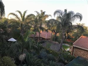 Bachelors Flat to rent Centurion