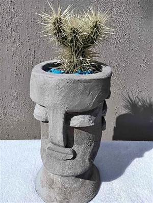 Cactus, in a head planter pot