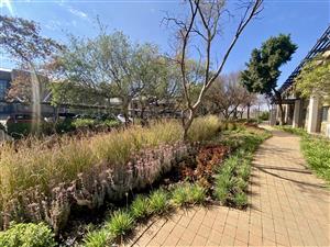 Fully fitted, bright, and neat office available for rent in Central Park, Randjespark.