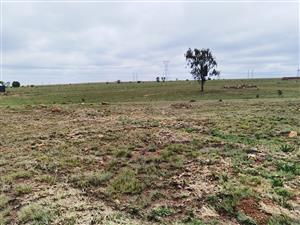 Explore this 10,015m² vacant land for sale in Rietvlei View Country Estates, Pretoria—your dream aw