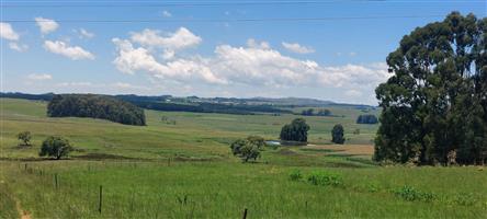 Farm For Sale in Dullstroom
