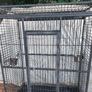 African Grey Bird Cage