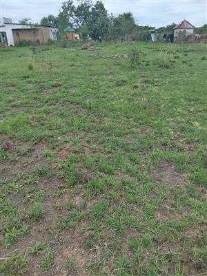 House and Plot Land