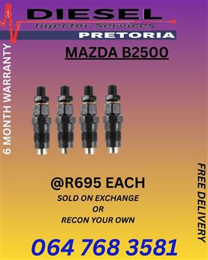 Diesel injector services