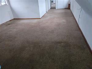  Spacious 3-Bedroom House to Let – 11th Avenue, Kensingtonjhb