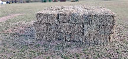 Grass Bale