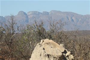 A rare find - a vacant Lissataba site for sale, with glorious mountain views.