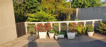 Bluff 2 Bedroom Granny Flat to Rent 