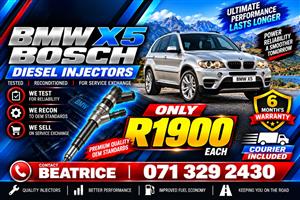 BMW X5 3.0 INJECTORS FOR SALE 