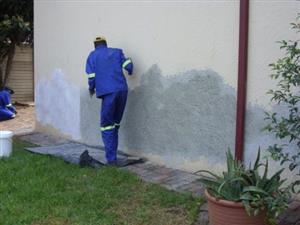 A PAINTER BOY AVAILABLE 