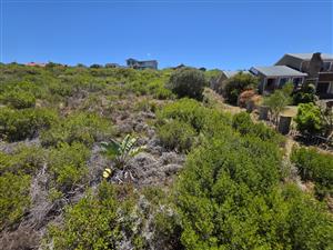 A beautifully positioned stand in the heart of Dana Bay