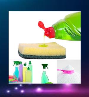 Turn knowledge into profit – self‑study manual for household & car care products