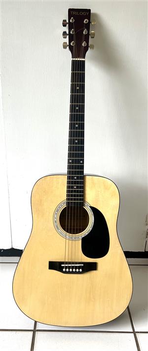 Excellent condition, Trilogy DG10 steel string acoustic guitar
