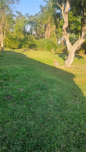 Land for sale