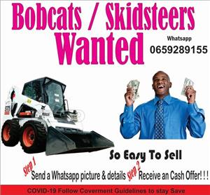 Bobcats Wanted