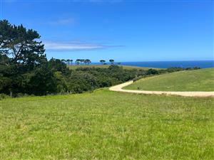 Vacant Land Residential For Sale in Le Grand Estate